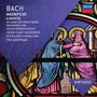 Johann Sebastian Bach: Magnificat D-Dur BWV 243, CD