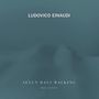 Ludovico Einaudi (geb. 1955): Seven Days Walking - Day 7 (Werke für Klavier), CD