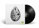 Snorri Hallgrimsson: The Importance of Birds (180g), LP