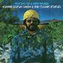 "VISIONS OF A NEW WORLD" und "LONNIE LISTON SMITH & THE COSMIC ECHOES" stehen oben. Eine Person in bunter Kleidung, umgeben von Pflanzen., LP