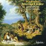 Hugo Wolf: 53 Mörike-Lieder, CD,CD