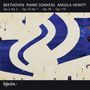 "BEETHOVEN PIANO SONATAS ANGELA HEWITT Op 2 No 2 - Op 10 No 1 - Op 78 - Op 110." Abstraktes Design in Blau und Weiß., CD
