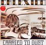 Calexico: Carried To Dust, LP