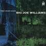 Big Joe Williams (Guitar/Blues): Piney Woods Blues, CD