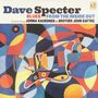 Dave Specter: Blues From The Inside Out, LP