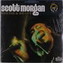 Scott Morgan: Rough & Ready, LP, LP