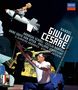 Georg Friedrich Händel: Giulio Cesare in Egitto, DVD,DVD