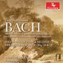 Carl Philipp Emanuel Bach: Für Kenner & Liebhaber (2. & 6. Sammlung), CD