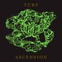 Bubblemath: Turf Ascension, CD