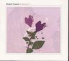Daniel Lanois: Belladonna, CD, CD