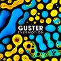 Guster: Evermotion (180g) (Deluxe Edition), LP