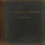 Joshua Radin: The Ghost And The Wall, LP