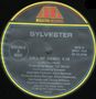 Sylvester: Call Me / Good Feeling, MAX