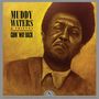 Muddy Waters: Goin' Way Back (Justin Time Essentials Collection) (remastered), LP
