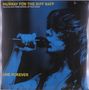 "HURRAY FOR THE RIFF RAFF" und "LIVE FOREVER". Ein*e Sänger*in singt in ein Mikrofon, beleuchtet in blauer Farbe., 2 LPs