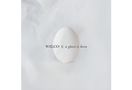 Wilco: A Ghost Is Born (20th Anniversary) (Expanded Edition), 2 CDs