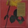 Caroline Shaw & Sō Percussion: Rectangles And Circumstance, CD, CD