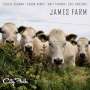 Joshua Redman: City Folk, CD