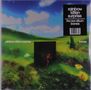 Rainbow Kitten Surprise: Bones, LP