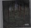 "Parental Advisory Explicit Content" prangt in der Ecke. Eine Person im Hoodie steht in einem dichten Wald., CD