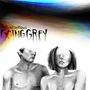 The Front Bottoms: Going Grey (Explicit), CD, CD