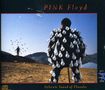 Pink Floyd: Delicate Sound Of Thunder: Live, CD,CD