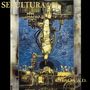 Sepultura: Chaos A.D. (remastered) (180g), 2 LPs