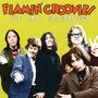 The Flamin' Groovies: Live 1971 San Francisco, LP