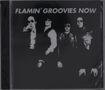 The Flamin' Groovies: Now, CD