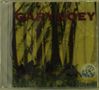 Gary Hoey: Animal Instinct, CD