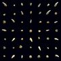 Clipping.: Visions Of Bodies Being Burned (Limited Loser Edition) (Gold Vinyl), LP,LP