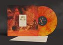 The Bug Club: On The Intricate Inner Workings Of The System (Limited Edition) (Red & Orange Marbled Vinyl), LP