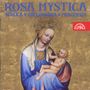 Rosa mystica, CD