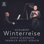 Franz Schubert (1797-1828): Winterreise D.911, CD