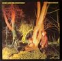 Echo & The Bunnymen: Crocodiles (remastered) (180g), LP