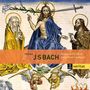 Johann Sebastian Bach: Motetten BWV 225-230, 2 CDs