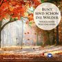 : Anneliese Rothenberger - Bunt sind schon die Wälder, CD