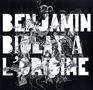 Benjamin Biolay: A L'Origine, 2 LPs