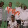 The Internet: Hive Mind, 2 LPs