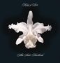 Kings Of Leon: Aha Shake (Limited-Edition) (Clear Vinyl), LP,LP