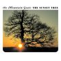 "The Mountain Goats - THE SUNSET TREE" in schwarzem Text vor einem Baum vor untergehender Sonne., CD