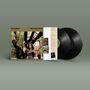 Belle & Sebastian: What To Look For In Summer: Live 2019, 2 LPs