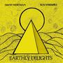 David Wertman: Earthly Delights (45rpm), 2 LPs