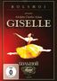 Bolshoi Theatre Orchestra: Adam-Giselle, DVD