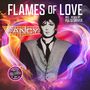 Fancy: Flames Of Love, Single 12"