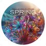 „TALLA 2XLC × RMB SPRING [REWORK]“. Farbintensive, leuchtende Blumenillustration., Single 12"