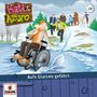 Kati & Azuro 28. Aufs Glatteis geführt, CD