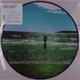 Manic Street Preachers: Ultra Vivid Lament (Limited Edition) (Picture Disc), LP