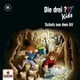 Ulf Blanck: Die drei ??? Kids 88: Schatz aus dem All, CD, CD