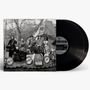 The Raconteurs: Consolers Of The Lonely, 2 LPs